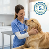 Vet-recommended formula