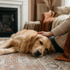 Calms anxiety naturally
